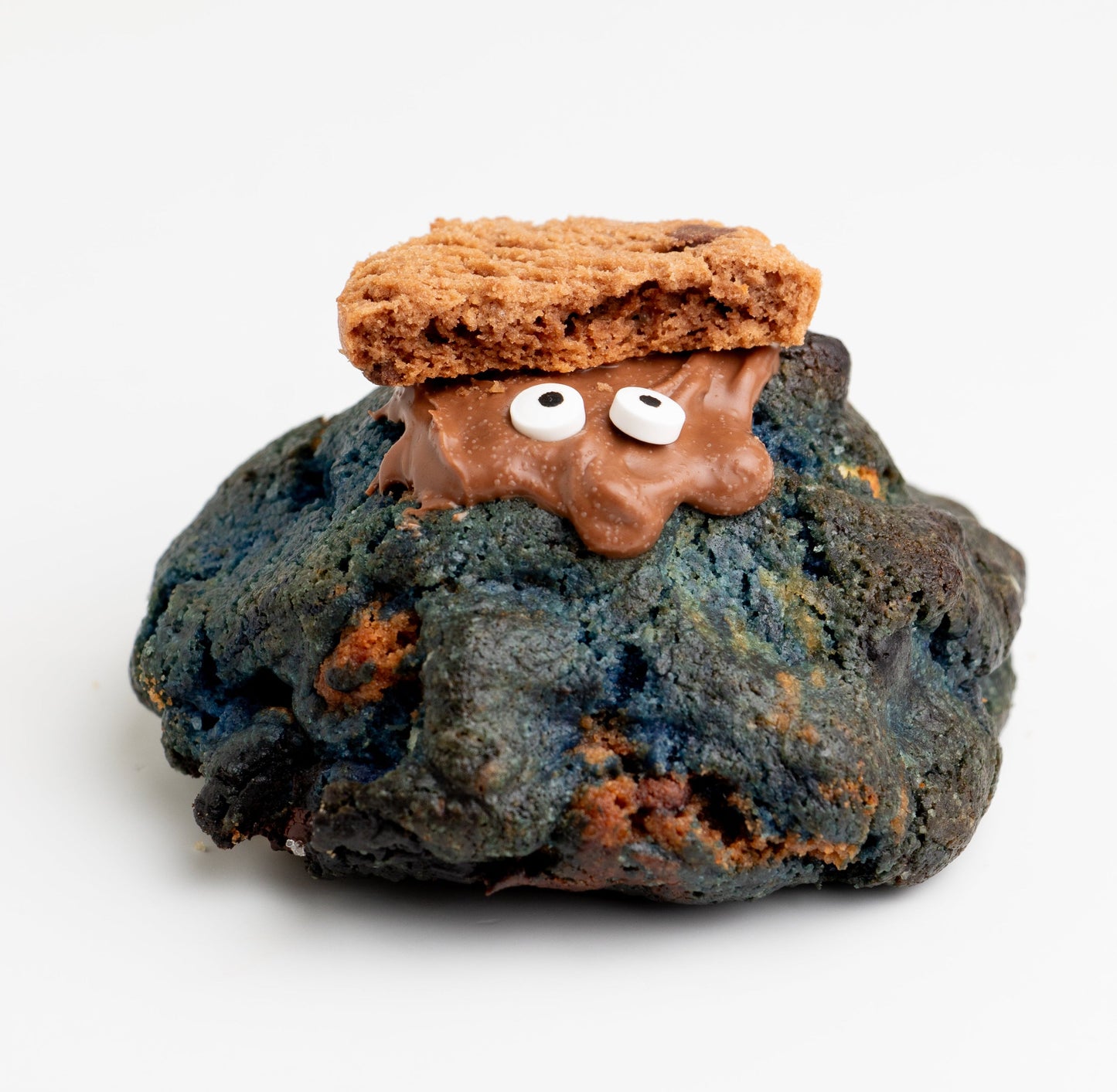COOKIE MONSTER