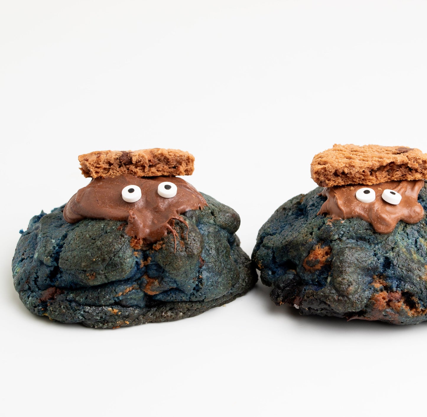 COOKIE MONSTER