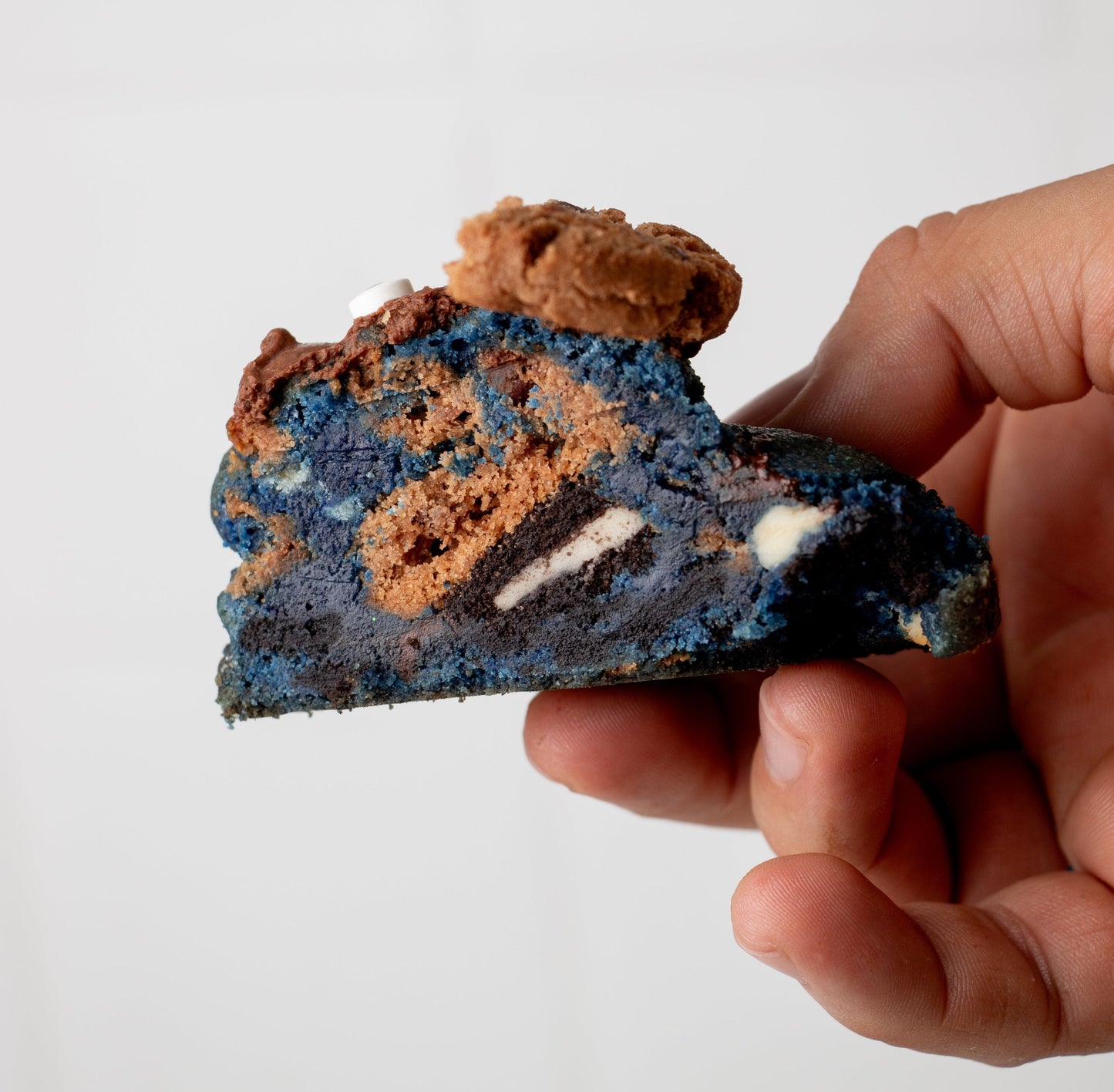 COOKIE MONSTER